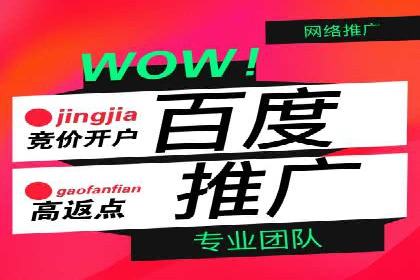精准营销之道：百度竞价代理案例剖析